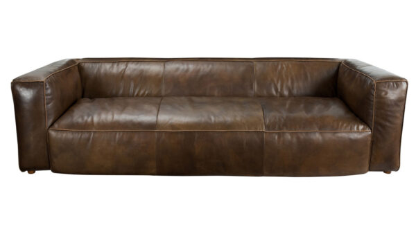 Modern leather sofa front view