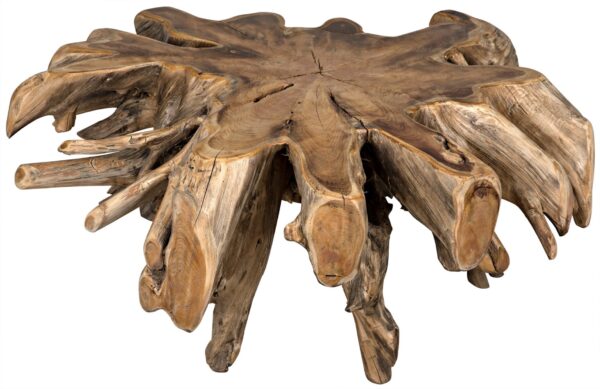 Large teak root coffee table side view