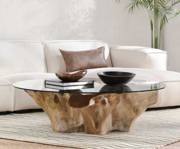 Organic root coffee table with glass top seen in living room