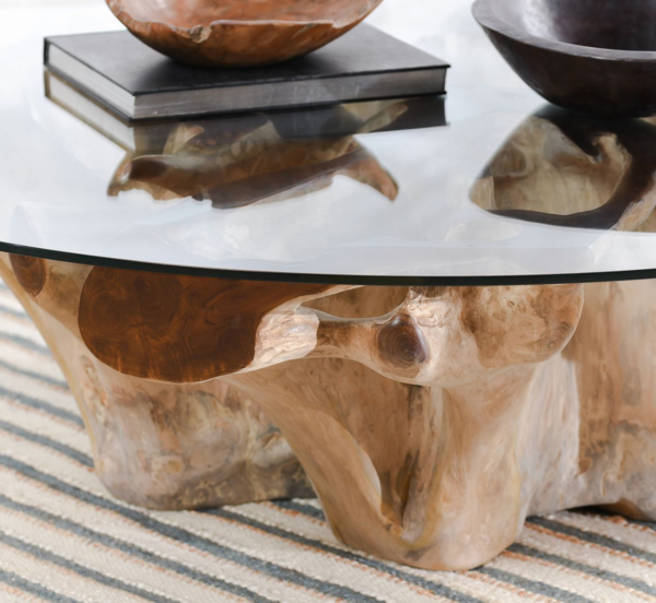 Organic root coffee table with glass top, detail