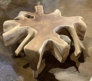 Teak Root Coffee Table