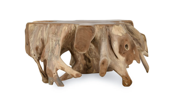 Root coffee table finished in matte natural color, overview 2