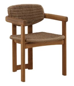 Alva Indoor/Outdoor Dining Chair (Set of 4)